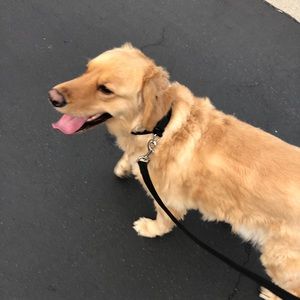 Meet your Posher, Victoria